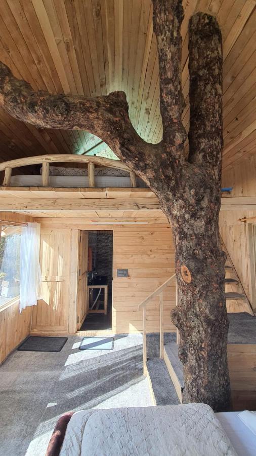 Little Wood Treehouse Villa Jibhi Exterior photo